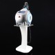 Cooling Operation Fat Dissolve Cellulite Body Shapping Slimming Machine